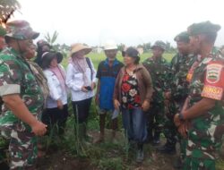 Poktan Maju Bersatu dapat penyuluhan pertanian dari Babinsa Dumai Timur dan PPL