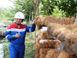 Kelola air terproduksi, PHR luncurkan inovasi lahan basah