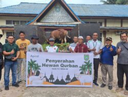 Apical Dumai serahkan 4 Sapi Kurban ke warga sekitar pabrik