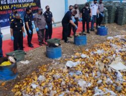 Rugikan negara ratusan juta rupiah, BC di Dumai musnahkan 23 ribu kg buah mangga selundupan