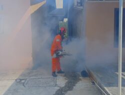 PT PAA Fogging berantas DBD di RT 022 Rimba Sekampung Dumai