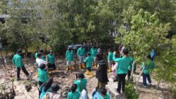 Rayakan HUT ke 58, INSA Dumai tanam ratusan Mangrove di Kawasan Pesisir