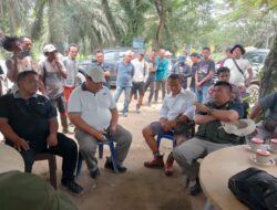 Agrinas Palma Nusantara tunjuk PT UTS KSO mitra strategis kelola perkebunan sawit