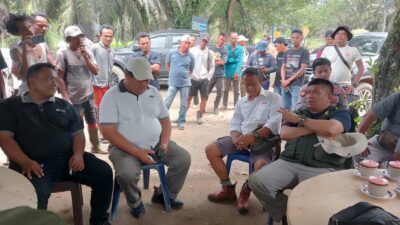 Agrinas Palma Nusantara tunjuk PT UTS KSO mitra strategis kelola perkebunan sawit