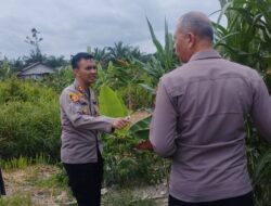 Hasilkan panen 5 ton Jagung Pipil, Kapolres Dumai AKBP Angga apresiasi Polsek Sei9