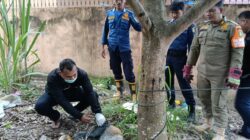 Petugas gabungan evakuasi seekor Anjing dicurigai Rabies di Rimba Sekampung Dumai