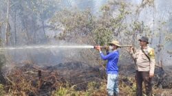 Polres Dumai amankan seorang petani terduga pembakar lahan di Sei9