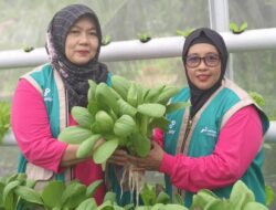 Nakhodai 24 perempuan tangguh di Air Jamban Mandau, Dian dibantu PHR sukses ubah lahan gersang jadi ladang rupiah