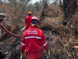 Fire Brigade Pertamina RU II Dumai tetap bersiaga di hutan padamkan kebakaran lahan gambut