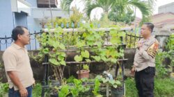 Perkuat ketahanan pangan, Polsek Dumai Kota dampingi dua pekarangan bergizi warga