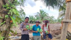 Bhabinkamtibmas Polsek Sungai Sembilan Dumai gencarkan pendampingan pertanian warga dukung ketahanan pangan