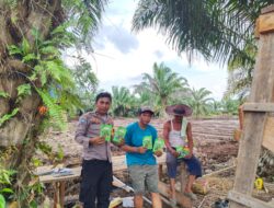 Bhabinkamtibmas Polsek Sungai Sembilan Dumai gencarkan pendampingan pertanian warga dukung ketahanan pangan