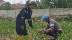 Polsek Pelabuhan Dumai dukung ketahanan pangan lewat pertanian berbasis hidroponik
