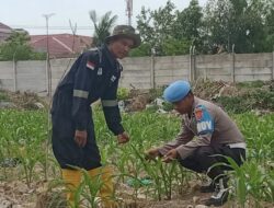 Polsek Pelabuhan Dumai dukung ketahanan pangan lewat pertanian berbasis hidroponik