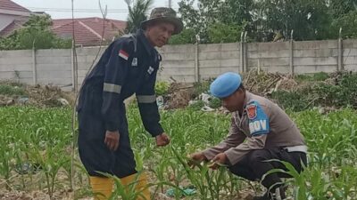 Polsek Pelabuhan Dumai dukung ketahanan pangan lewat pertanian berbasis hidroponik