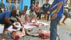 Idul Adha 2026, PWI Dumai sembelih sapi kurban dan santuni janda wartawan