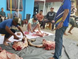 Idul Adha 2026, PWI Dumai sembelih sapi kurban dan santuni janda wartawan