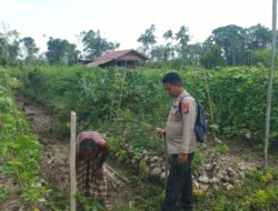 Polsek Sungai Sembilan Dumai konsisten wujudkan ketahanan pangan lewat pengecekan pekarangan bergizi warga
