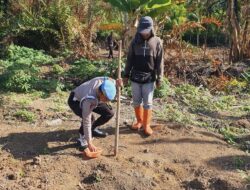 Polsek Pelabuhan Dumai dampingi lahan tanaman jagung Poktan Tuah Brata Pangan