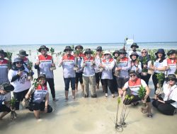 Komit mengurangi emisi karbon, Pertamina Drilling tanam 800 Mangrove di Pulau Pari Kepulauan Seribu