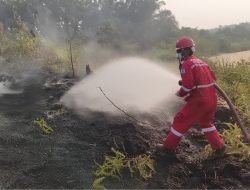 PHR respon cepat penanganan kebakaran lahan di area operasi Zona Rokan