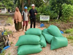Apical dukung produktivitas Peternak Binaan di Dumai melalui pemanfaatan bungkil inti sawit