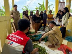 Pertamina Patra Niaga Sumbagut dorong inovasi pengelolaan sumber daya laut Kampung Tua Terih Kepri